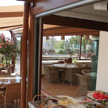 Sari Hotel 4*