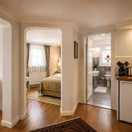 Sari Konak Hotel Sultanahmet 4*