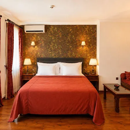 Sari Sultanahmet Hotel 4*