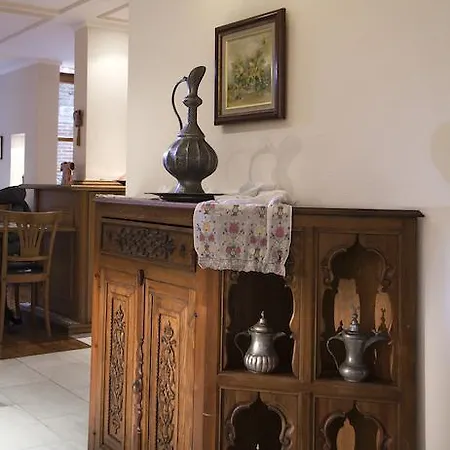 Sari Istambul